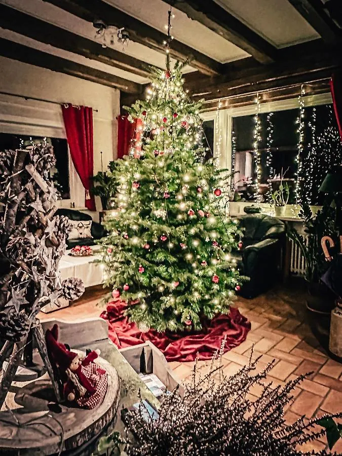 Hotel Bergstätter Hof Immenstadt im Allgäu 0*,